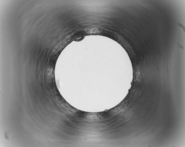 X0000103490521200810101025