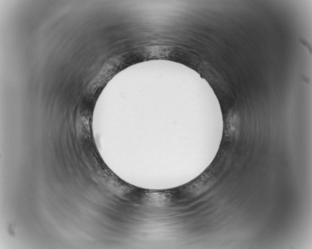 X0000103490522200810101025