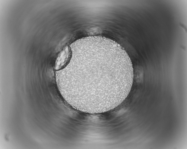 X0000103490523200810101025