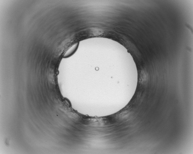 X0000103490524200810101025