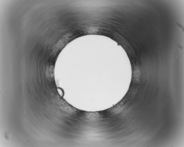 X0000103490525200810101025