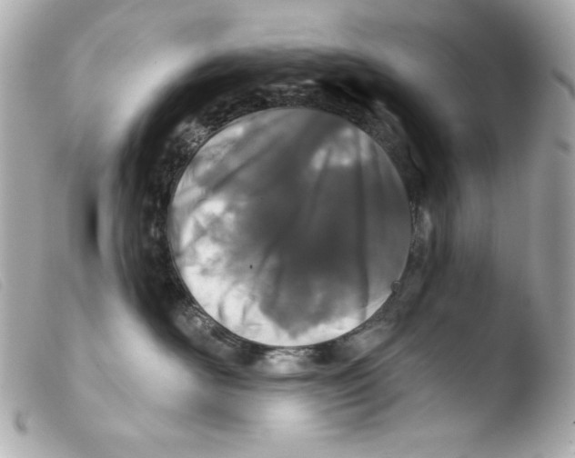 X0000103490526200810101025
