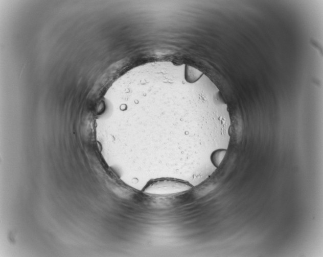 X0000103490527200810101025