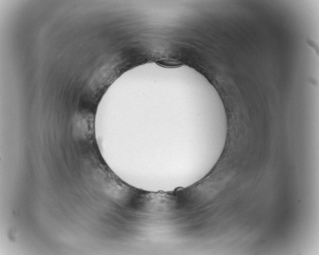 X0000103490528200810101025
