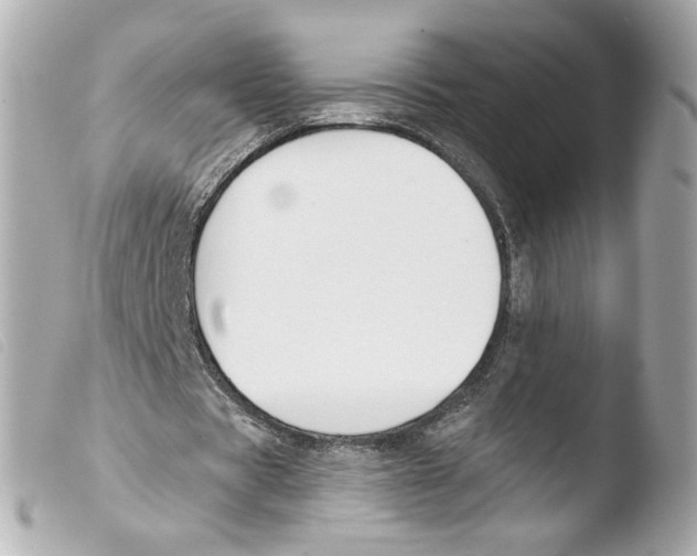 X0000103490529200810101025