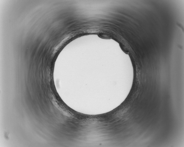X0000103490530200810101025