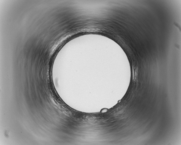 X0000103490531200810101025