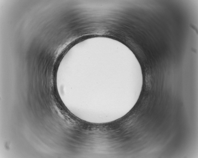 X0000103490532200810101025
