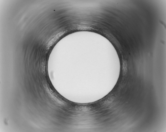 X0000103490533200810101025