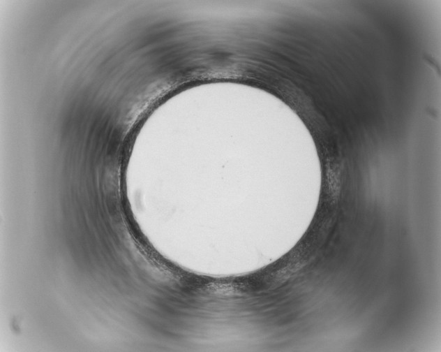 X0000103490534200810101025