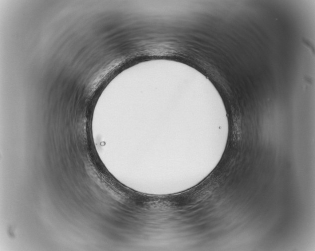 X0000103490535200810101025