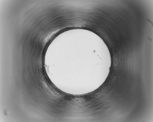 X0000103490536200810101025