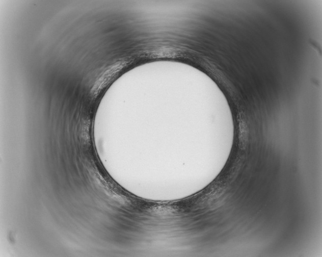 X0000103490537200810101025