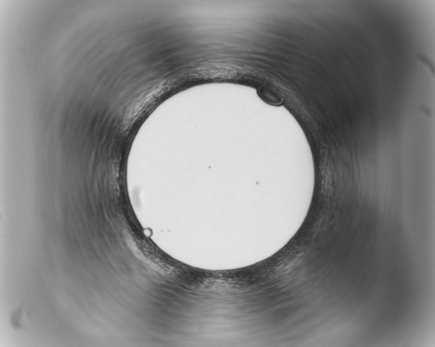 X0000103490538200810101025