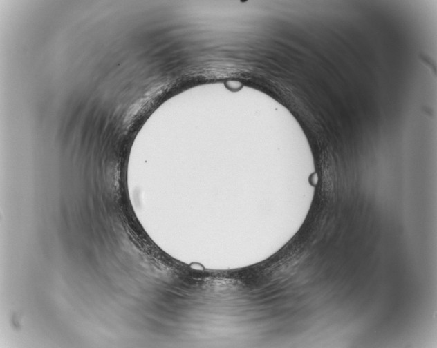 X0000103490539200810101025