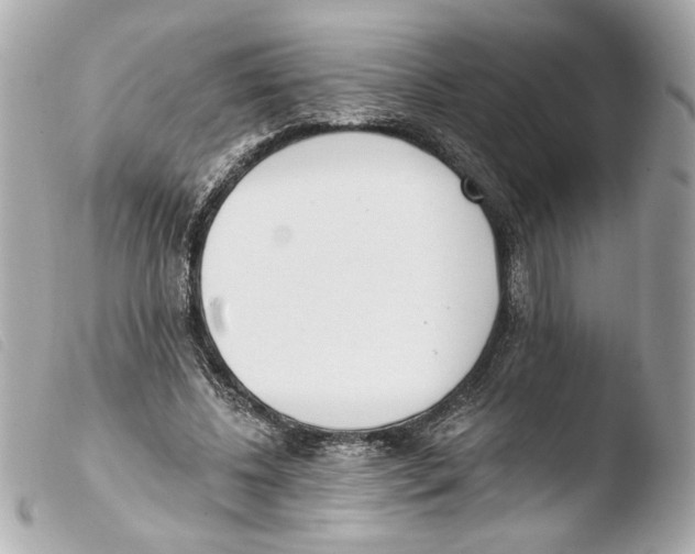 X0000103490540200810101025