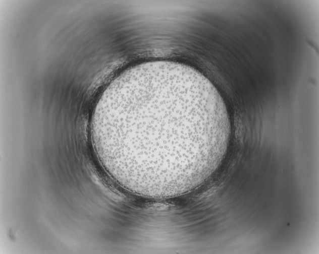 X0000103490542200810101025