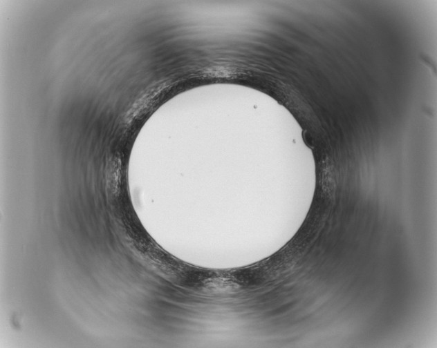 X0000103490544200810101025