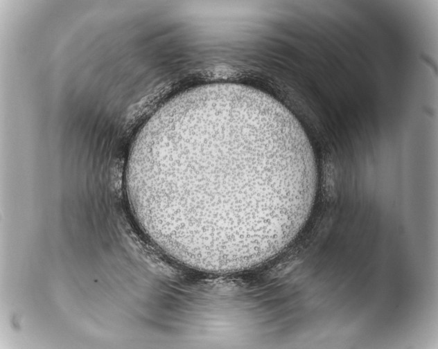 X0000103490545200810101025