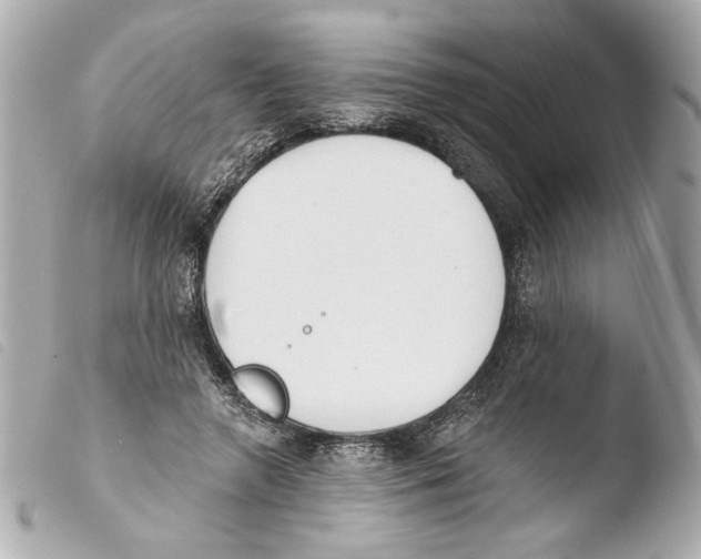 X0000103490546200810101025