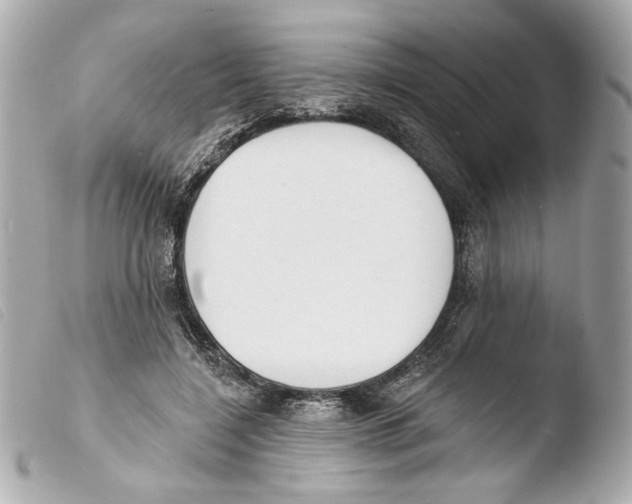 X0000103490548200810101025