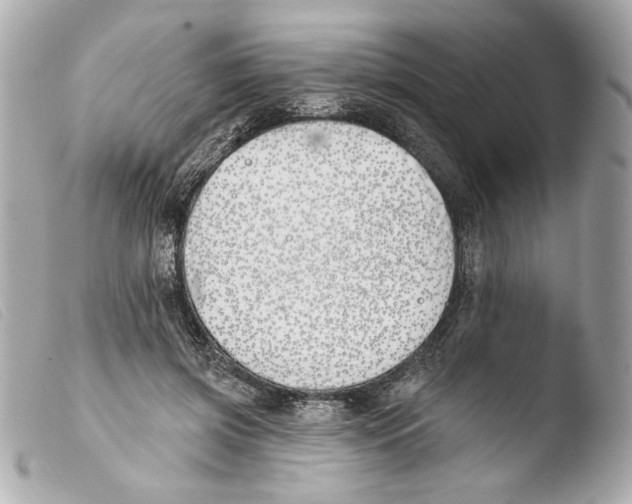 X0000103490549200810101025