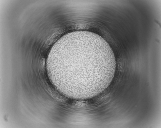 X0000103490550200810101025