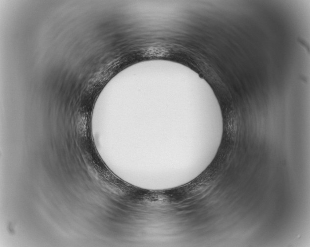 X0000103490551200810101025