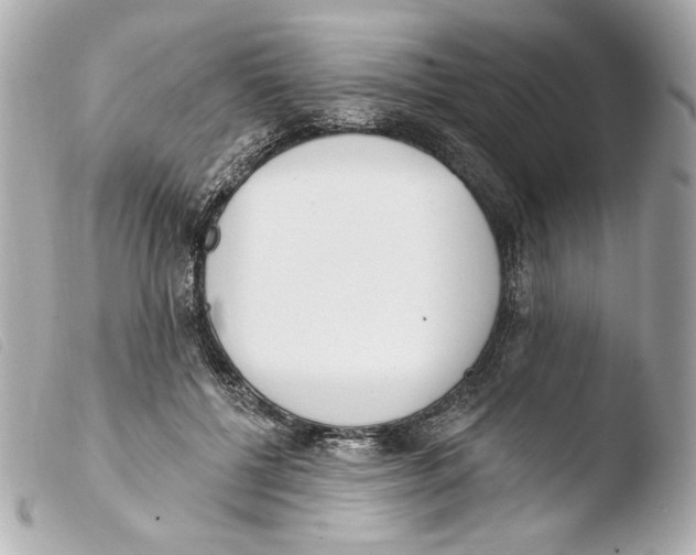 X0000103490552200810101025