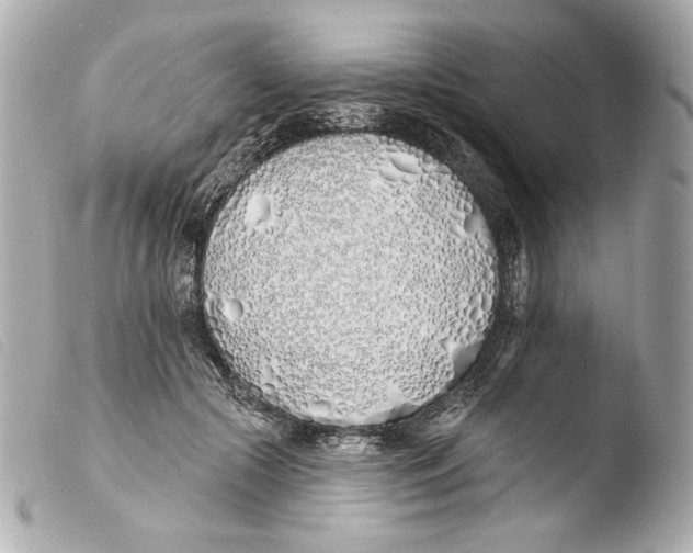 X0000103490553200810101025