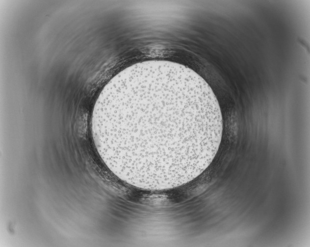 X0000103490554200810101025