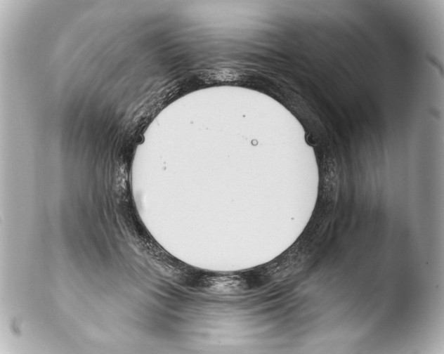 X0000103490555200810101025