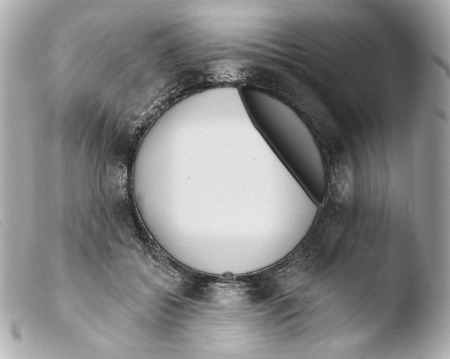X0000103490556200810101025