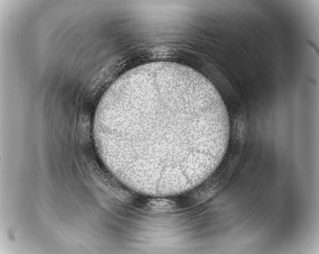 X0000103490557200810101025