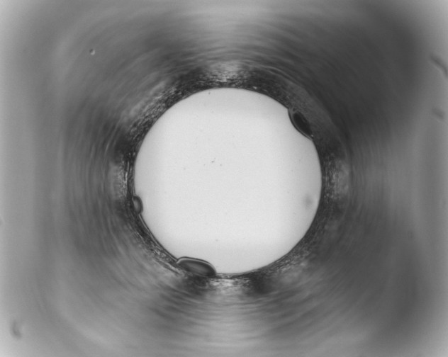 X0000103490558200810101025