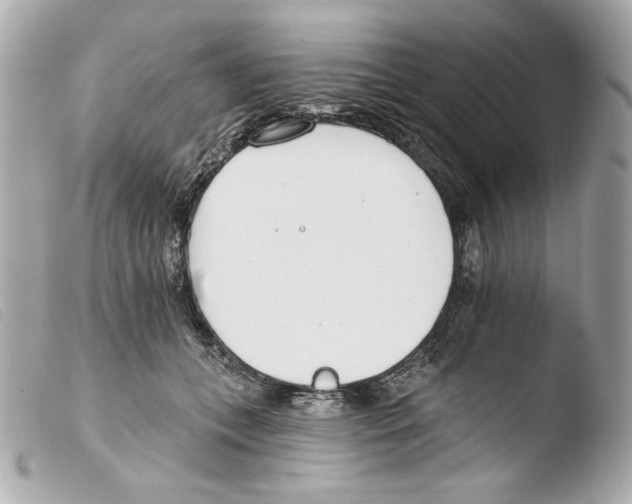 X0000103490559200810101025