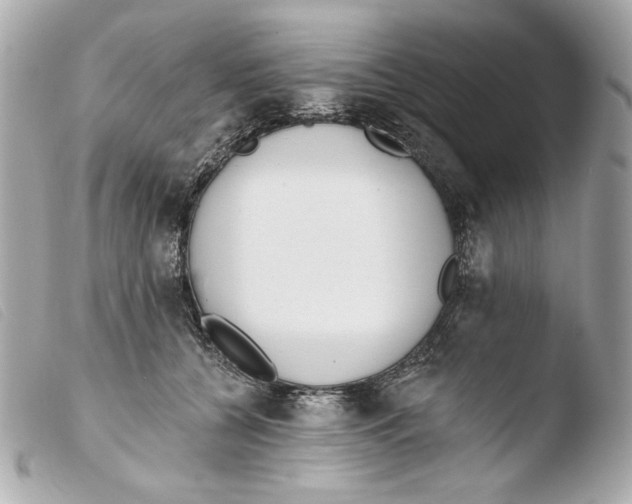 X0000103490560200810101025
