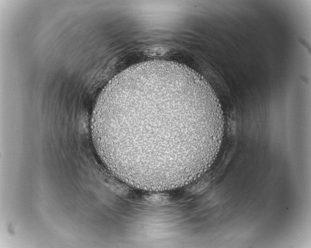 X0000103490561200810101025