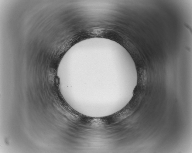 X0000103490562200810101025
