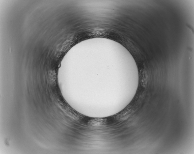 X0000103490563200810101025