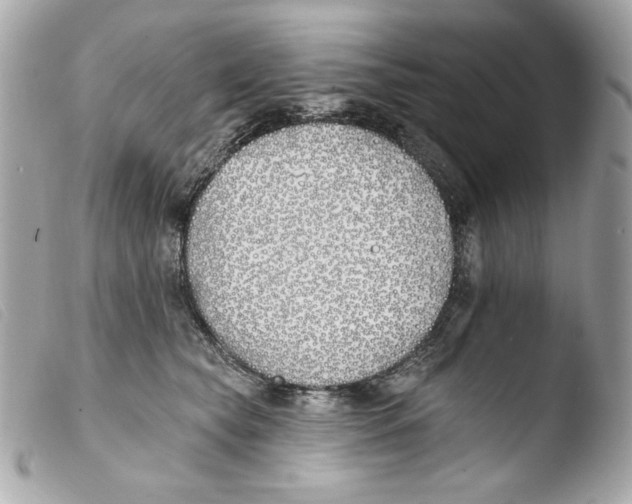 X0000103490565200810101025