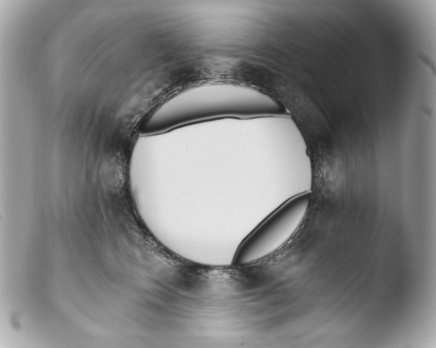 X0000103490566200810101025