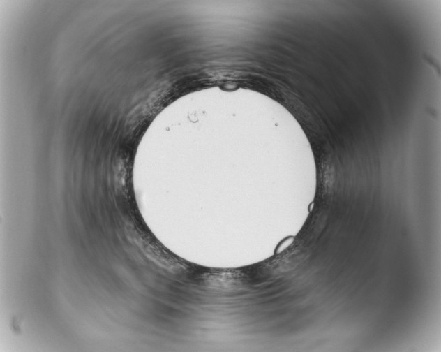X0000103490567200810101025