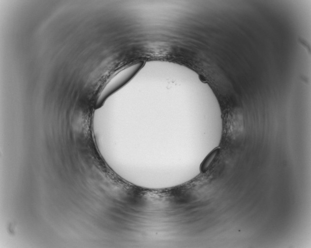 X0000103490568200810101025