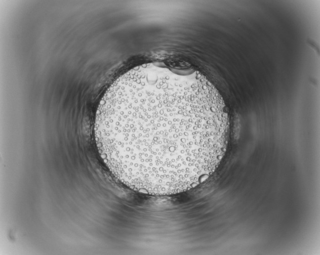 X0000103490569200810101025