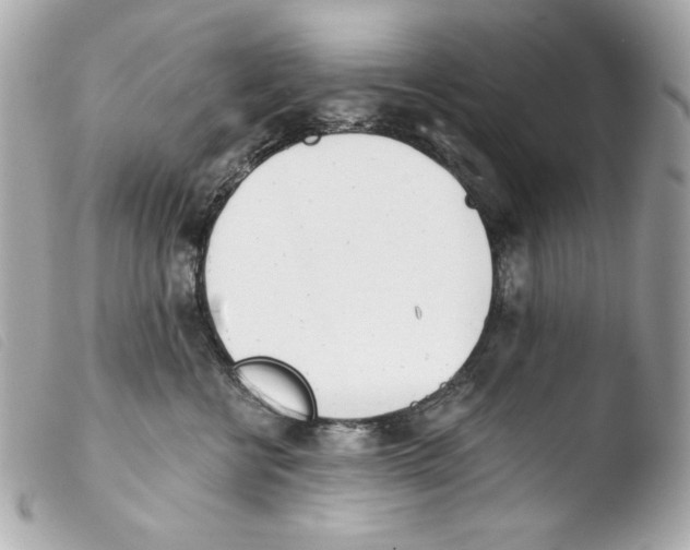 X0000103490570200810101025