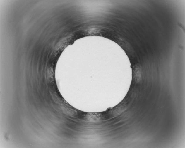 X0000103490571200810101025