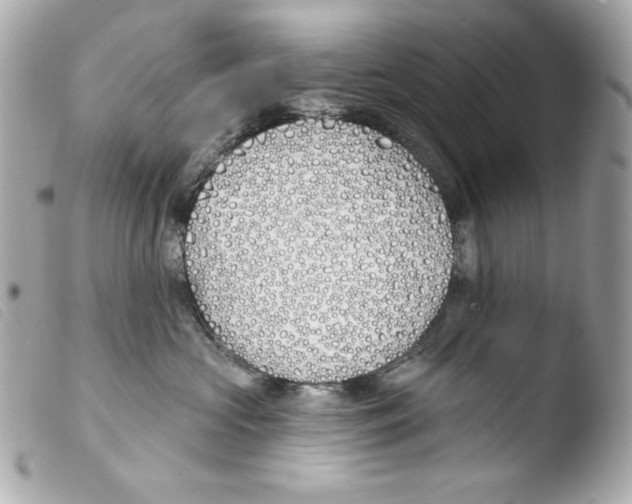 X0000103490573200810101025