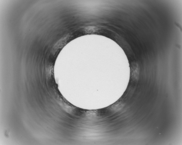 X0000103490574200810101025