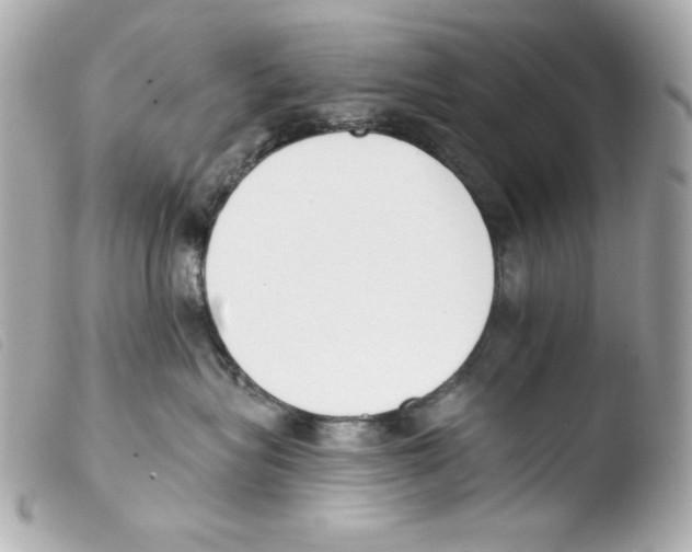 X0000103490575200810101025